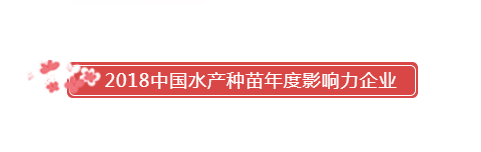 恭喜晨海水產(chǎn)榮獲：2018中國水產(chǎn)種苗年度影響力企業(yè)